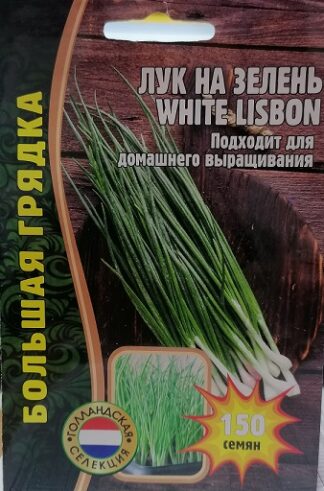 Лук на зелень White Lisbon (Голландия) 150 шт Большая грядка
