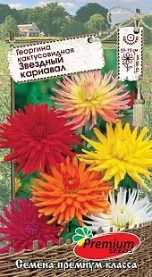 Георгина Звездный карнавал микс Премиум Георгина Звездный карнавал микс Премиум
