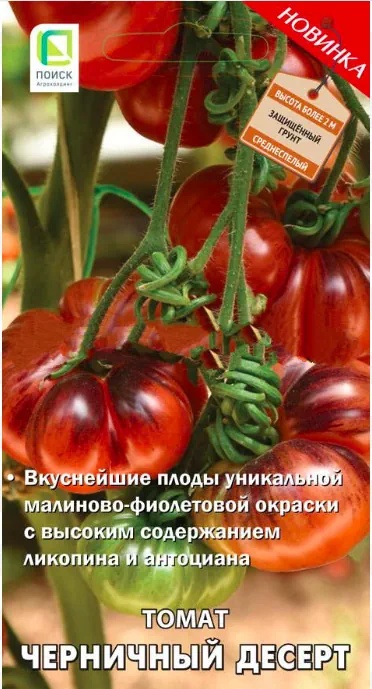 Томат Черничный десерт Поиск Томат Черничный десерт Поиск