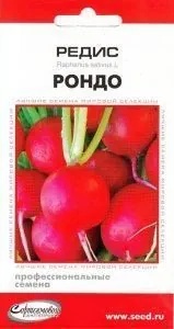 Редис Рондо Дом семян Редис Рондо Дом семян