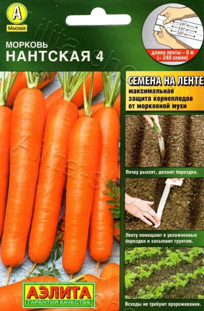 Морковь Нантская 4 (лента) Аэлита
