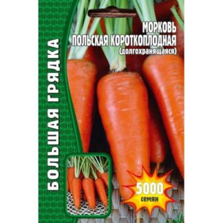 Морковь Польская Короткоплодная (долгохранящаяся) 5000 шт