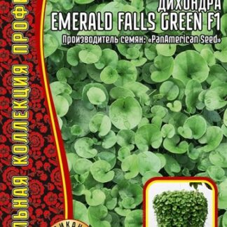 Дихондра Emerald Falls Green F1 (США) 3 шт