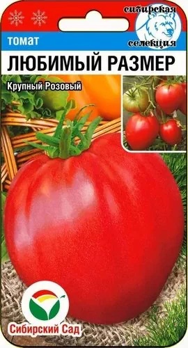 Томат Любимый размер Сиб.сад Томат Любимый размер Сиб.сад