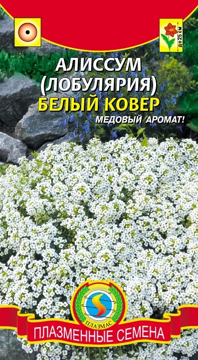 Алиссум Белый ковер Плазма Алиссум Белый ковер Плазма