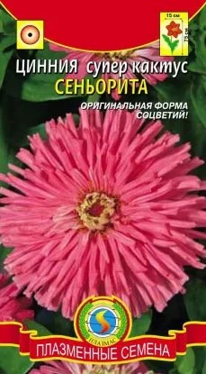 Циния Сеньорита Плазма Циния Сеньорита Плазма