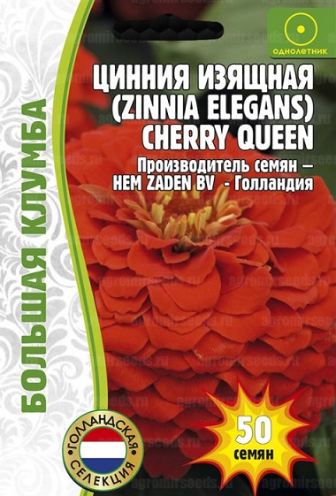 Цинния Cherry Queen (Голландия) 50 шт Цинния Cherry Queen (Голландия) 50 шт
