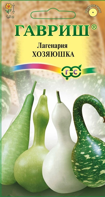 Лагенария Хозяюшка Гавриш Лагенария Хозяюшка Гавриш