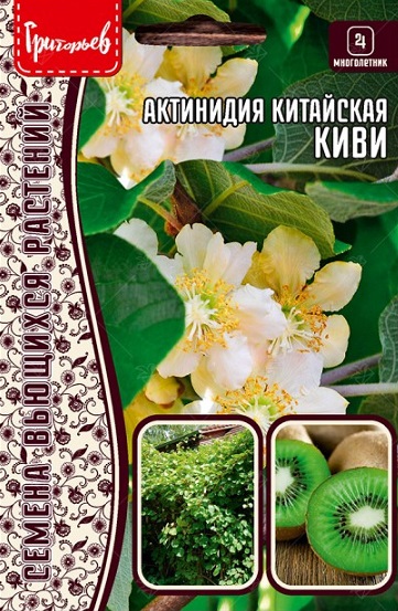 Актинидия китайская Киви (семена редких растений) 30 шт Актинидия китайская Киви (семена редких растений) 30 шт